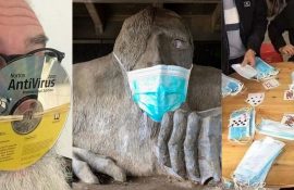 Social networks reaction to coronavirus in the world: jokes and life hacks from users