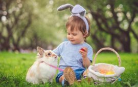 Namen für Jungen für 2023 Kaninchen